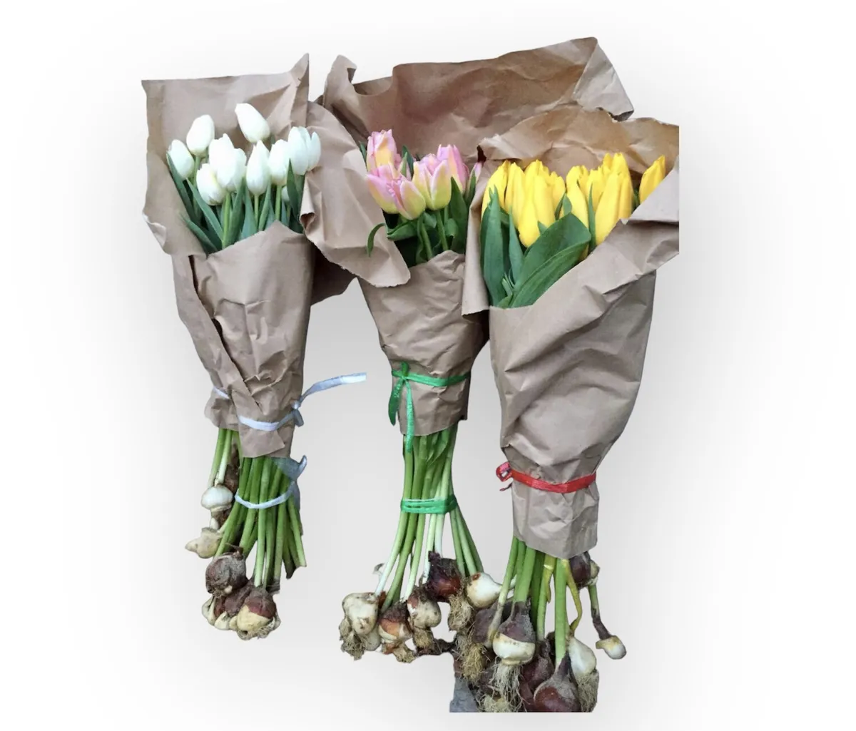 Упаковка тюльпанов